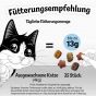 FELIX KnabberMix Strandspaß, Knuspriger Katzensnackmit 200g Beutel (1er Pack (1 x 200g)) [MHD 10/24]