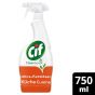 Cif Power & Shine Küche 750 ml (1 x 750ml)