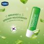 Vaseline Lip Therapy Aloe | Pflegender Lippenbalsam | Lippen-Feuchtigkeitscreme (1 x 4.8g)