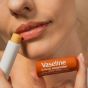 Vaseline Lip Therapy Cocoa Butter | Getönter Lippenbalsam mit Kakao und Sheabutter  (24 x 4.8g)