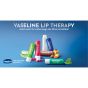 Vaseline Lip Therapy das Original, Pflegender Lippenbalsam, Lippenstift mit Vitamin E und Vaselinegel,  (Original (1 Stück))