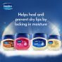 Vaseline Lip Therapy Crème Brûlée | Pflegender Lippenbalsam für optimale Feuchtigkeit | (Crème Brûlée (1er Pack))