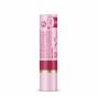 Vaseline x Emily in Paris Parisian Pink | Feuchtigkeitsspendender Lippenbalsam | Limited Edition |  (2er Pack Parisian Pink)